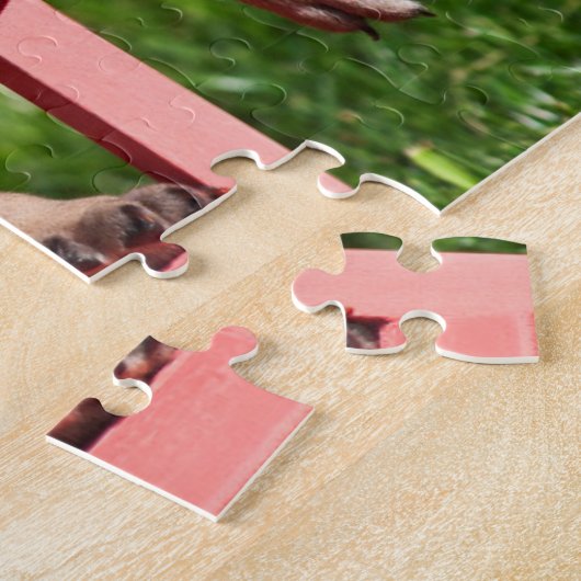 USA, California. Puppy Slouching Legpuzzel (Zijkant)