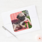 USA, California. Puppy Slouching Vierkante Sticker (Envelop)