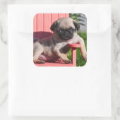 USA, California. Puppy Slouching Vierkante Sticker (Tas)