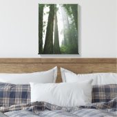 USA, California, Redwood National Park, 2 Canvas Afdruk (Insitu (Slaapkamer))