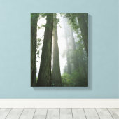 USA, California, Redwood National Park, 2 Canvas Afdruk (Insitu (Houten vloer))