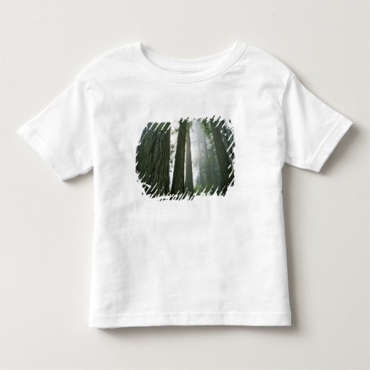 USA, California, Redwood National Park, 2 Kinder Shirts (Voorkant)