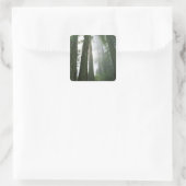 USA, California, Redwood National Park Vierkante Sticker (Tas)