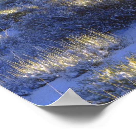 USA, Californië, Joshua Tree National Park. 2 Poster (Hoek)