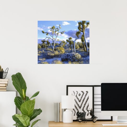 USA, Californië, Joshua Tree National Park. 2 Poster (Thuiskantoor)