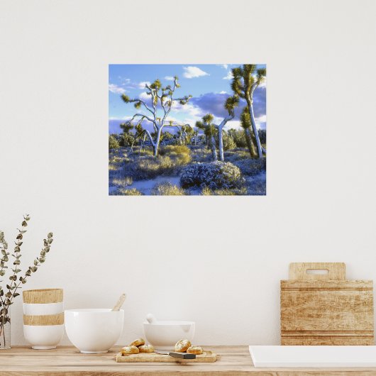 USA, Californië, Joshua Tree National Park. 2 Poster (Keuken)