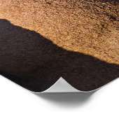 USA, Californië, Joshua Tree National Park. Poster (Hoek)