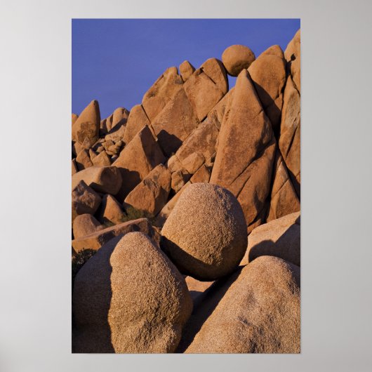 USA, Californië, Joshua Tree National Park. Poster (Voorkant)