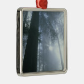 USA, Californië, Redwood National Park, Del Metalen Ornament (Rechts)