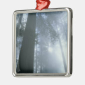 USA, Californië, Redwood National Park, Del Metalen Ornament (Links)