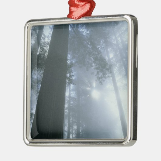 USA, Californië, Redwood National Park, Del Metalen Ornament (Links)