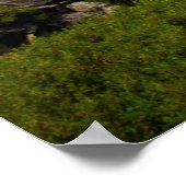 USA, Californië, Yosemite National Park 1 Poster (Hoek)