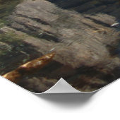 USA, Californië, Yosemite National Park, 5 Poster (Hoek)