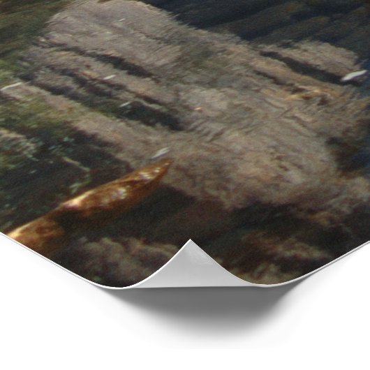 USA, Californië, Yosemite National Park, 5 Poster (Hoek)