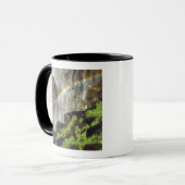 USA, Californië, Yosemite National Park. A Mok (Voorkant links)