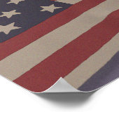 USA Cat Poster (Hoek)