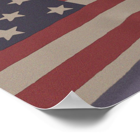 USA Cat Poster (Hoek)