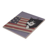 USA Cat Tegeltje (Zijkant)