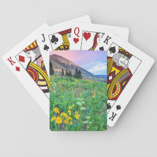 USA, Colorado, Crested Butte. Landschap 2 Pokerkaarten