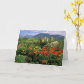 USA, Colorado, Crested Butte. Papavers en lupine Kaart (Gele Bloem)