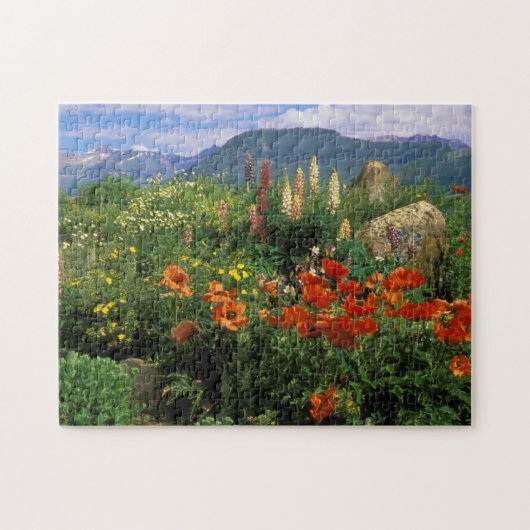 USA, Colorado, Crested Butte. Papavers en lupine Legpuzzel (Horizontaal)