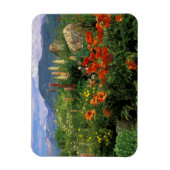 USA, Colorado, Crested Butte. Papavers en lupine Magneet (Verticaal)