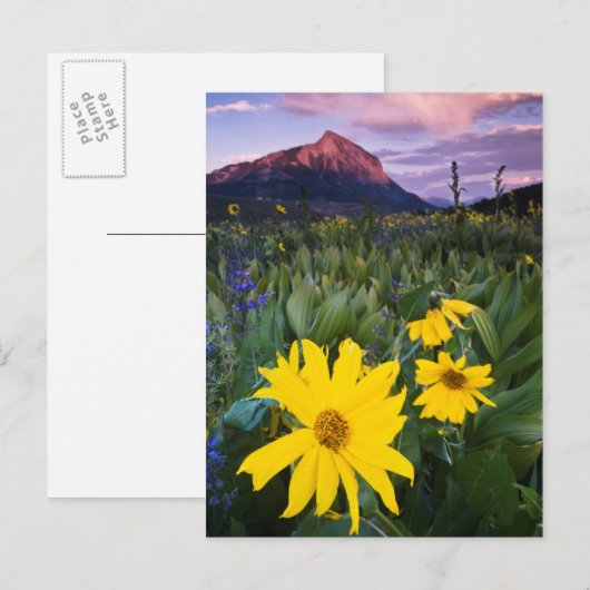 USA, Colorado, Mt. Crested Butte Briefkaart (Voorkant / Achterkant)