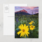 USA, Colorado, Mt. Crested Butte Briefkaart (Voorkant / Achterkant)