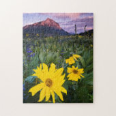 USA, Colorado, Mt. Crested Butte Legpuzzel (Verticaal)