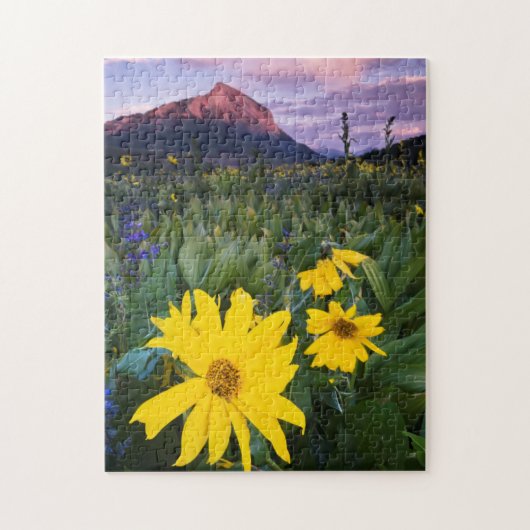 USA, Colorado, Mt. Crested Butte Legpuzzel (Verticaal)