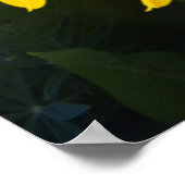 USA, Colorado, Mt. Crested Butte Poster (Hoek)