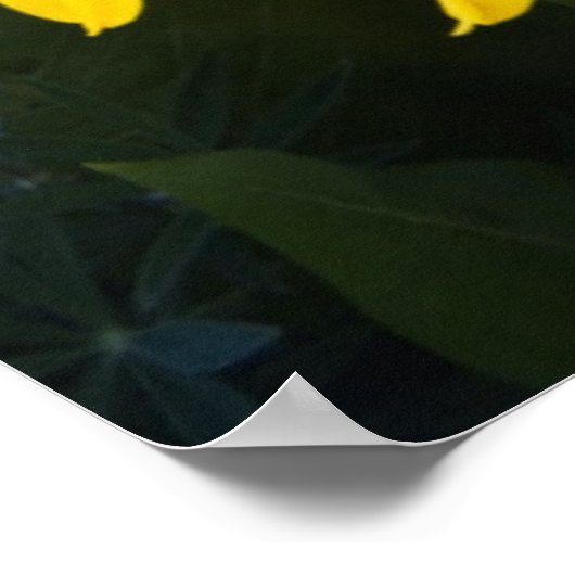 USA, Colorado, Mt. Crested Butte Poster (Hoek)