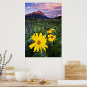 USA, Colorado, Mt. Crested Butte Poster (Keuken)