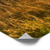 USA, Colorado, San Juan Mountains Poster (Hoek)