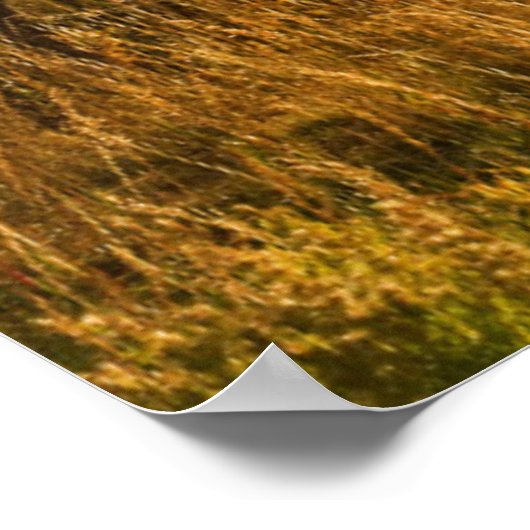 USA, Colorado, San Juan Mountains Poster (Hoek)