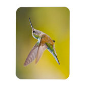 USA, Colorado, Summit County, Heeney. Uitzicht zij Magneet (Verticaal)