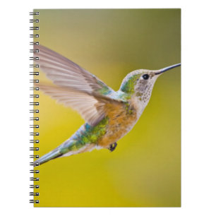 USA, Colorado, Summit County, Heeney. Uitzicht zij Notitieboek