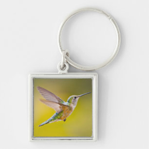 USA, Colorado, Summit County, Heeney. Uitzicht zij Sleutelhanger