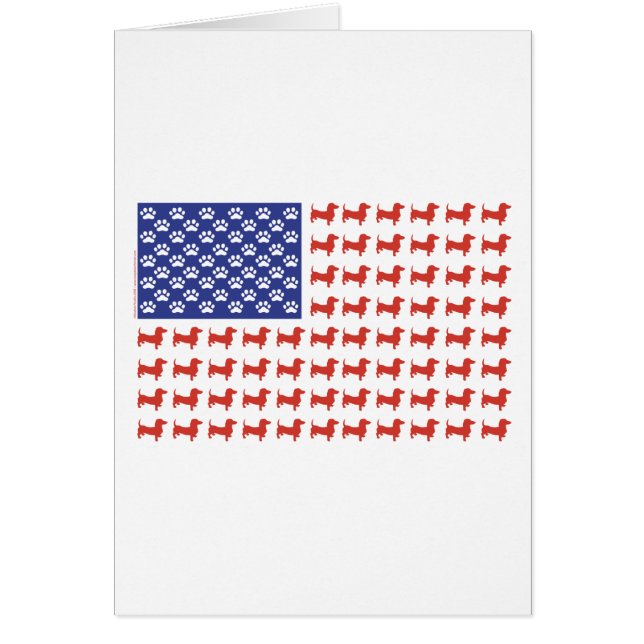 USA Dachshund (Voorkant)