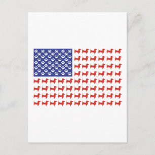 USA Dachshund Briefkaart