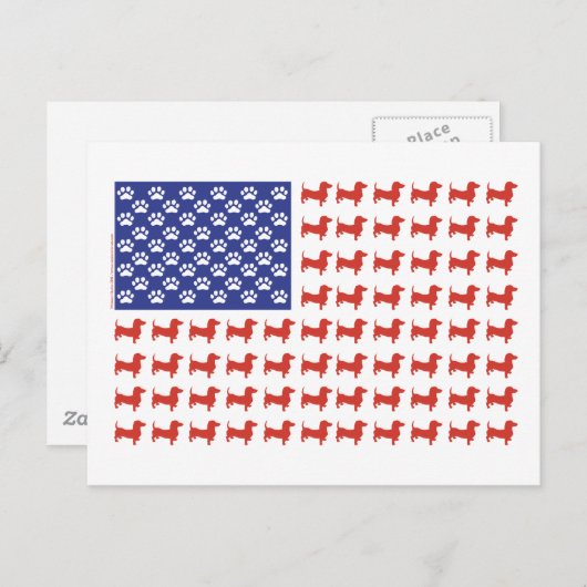 USA Dachshund Briefkaart (Voorkant / Achterkant)