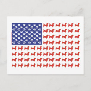 USA Dachshund Briefkaart