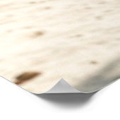 USA Dream Girl 14 Poster (Hoek)