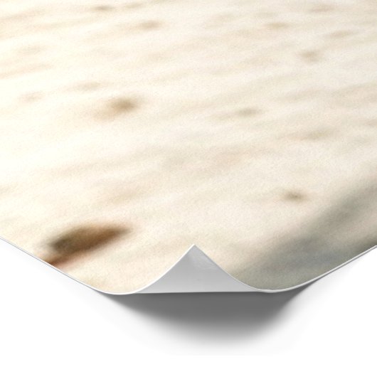 USA Dream Girl 14 Poster (Hoek)