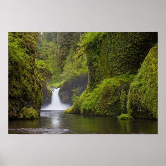 USA, Eagle Creek, Columbia Gorge, Oregon. 3 Poster (Voorkant)