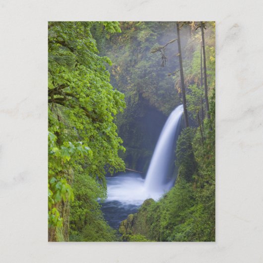 USA, Eagle Creek, Columbia Gorge, Oregon. Briefkaart (Voorkant)