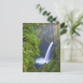 USA, Eagle Creek, Columbia Gorge, Oregon. Briefkaart (Staand voorkant)