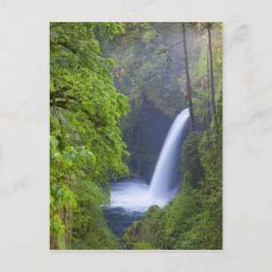 USA, Eagle Creek, Columbia Gorge, Oregon. Briefkaart