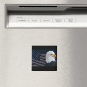 Usa Eagle Magneet (Insitu (Vaatwasser))