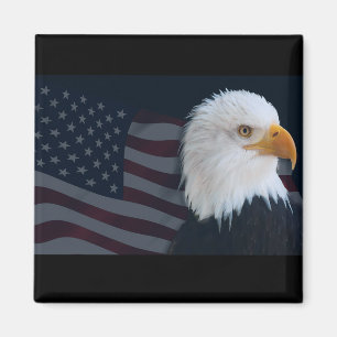 Usa Eagle Magneet